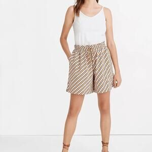 Madewell Second Wave Board Shorts in Diagonal Stripe